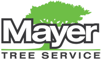 Image for Mayer Tree Service with ID of: 1984512
