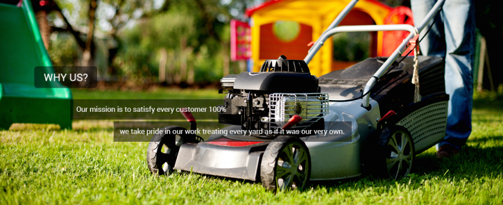 Image for Walter Lawn Service with ID of: 1985219