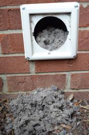 Image for Lint Vent Eater with ID of: 1986359