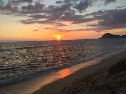 Image for Live Your Aloha Hawaii Tours with ID of: 1986583