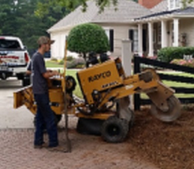 Image for Tree Services Alpharetta with ID of: 1986727