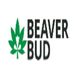 Image for BeaverBud with ID of: 1987010
