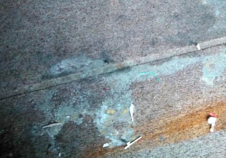 Image for Mold Inspection & Testing Miami FL with ID of: 1987058
