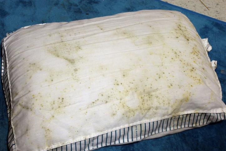Image for Mold Inspection & Testing Miami FL with ID of: 1987060