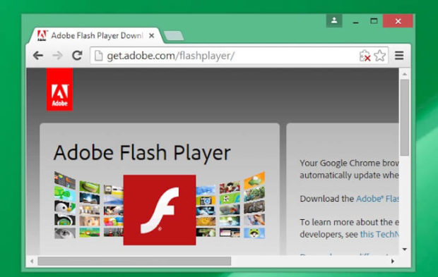 Image for Contact Adobe Player Technical Support Team with ID of: 1987081