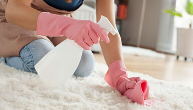 Image for 24Hr Pure Carpet Care with ID of: 1988298