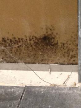 Image for DCM Environmental Testing with ID of: 1988534
