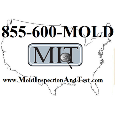 Image for Mold Inspection & Testing Providence RI with ID of: 1988720