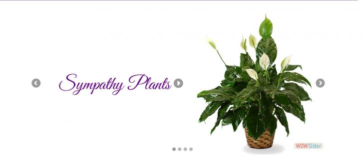 Image for Funeral Flowers Delivery with ID of: 1990103