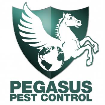 Image for Pegasus Pest Control with ID of: 1990771