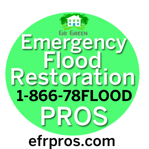 Image for Emergency Flood Restoration Pros with ID of: 1991503