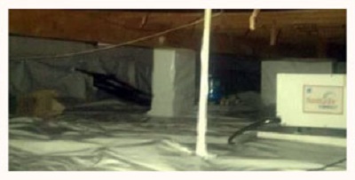 Image for TampaBayMold.net- Clearwater with ID of: 1991899