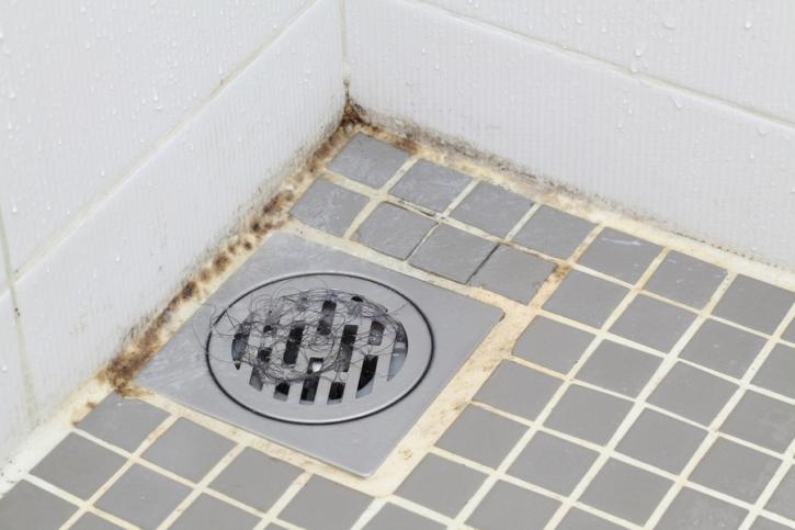 Image for Mold Inspection & Testing New Jersey with ID of: 1992109