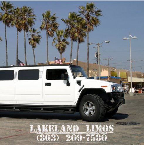 Image for Lakeland Limos with ID of: 1994390