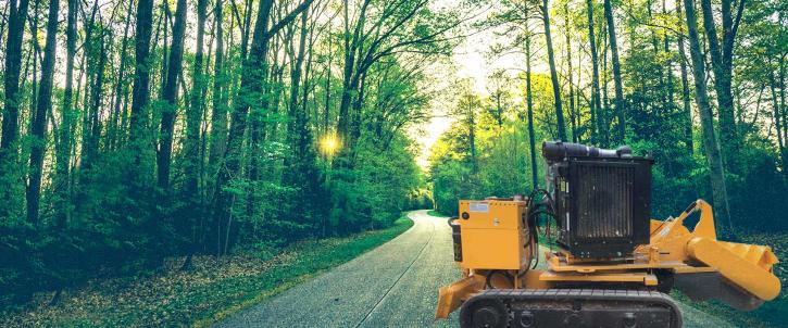 Image for David's Tree Service with ID of: 1995059