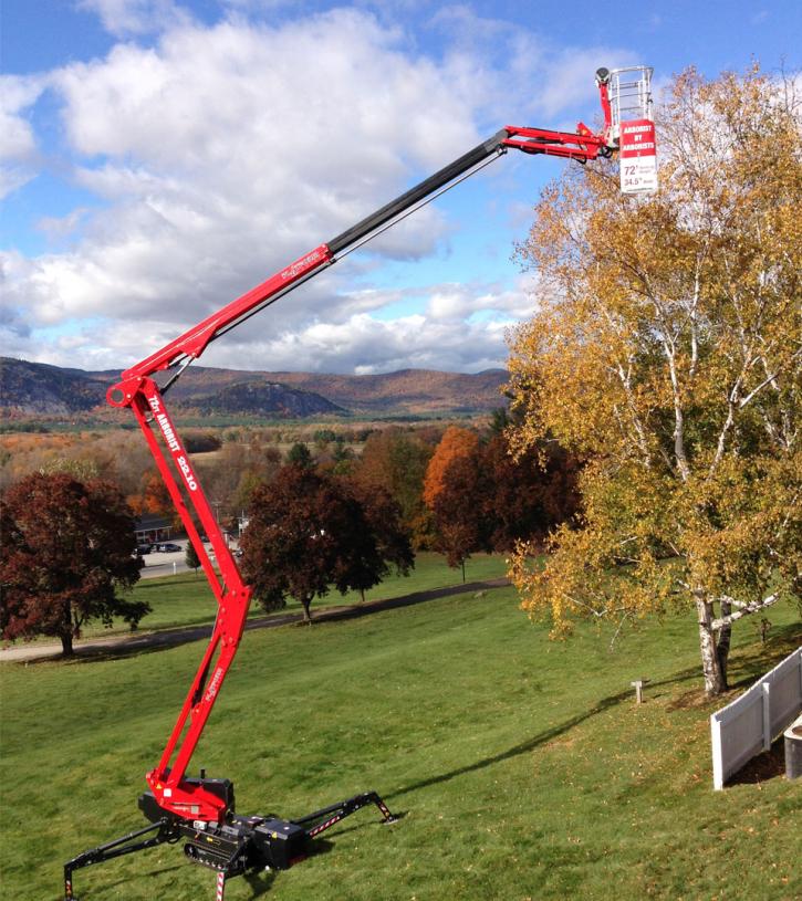 Image for David's Tree Service with ID of: 1995069