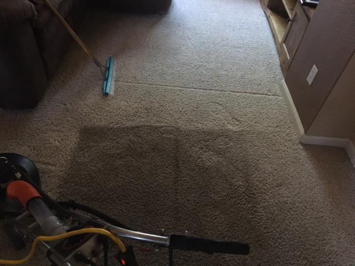 Image for United Carpet Care with ID of: 1995749