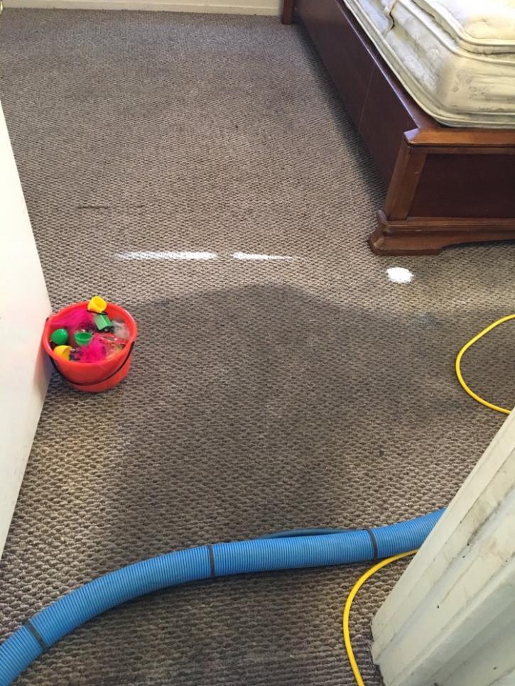 Image for United Carpet Care with ID of: 1995750