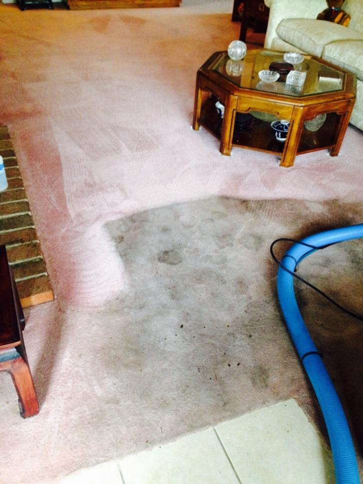 Image for United Carpet Care with ID of: 1995752