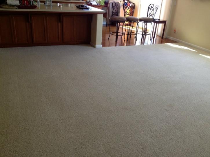 Image for United Carpet Care with ID of: 1995753