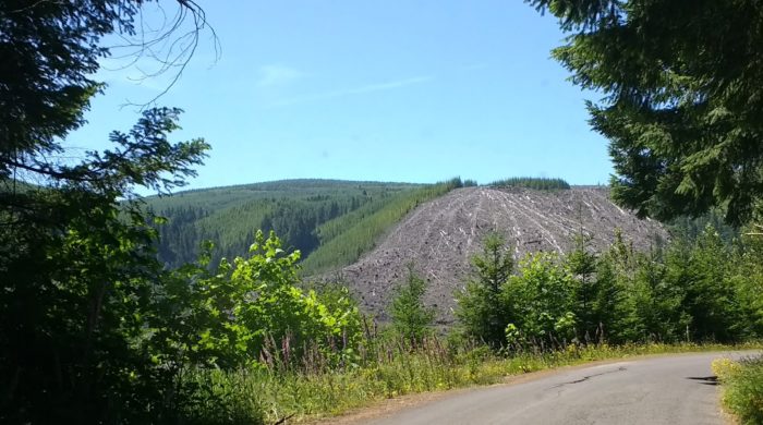 Image for Cascade Forest Conservancy with ID of: 1996127