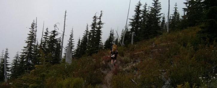 Image for Cascade Forest Conservancy with ID of: 1996134