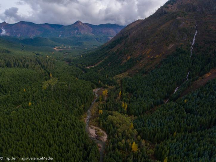 Image for Cascade Forest Conservancy with ID of: 1996135