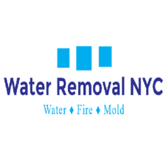 Image for Water Removal NYC with ID of: 1996914