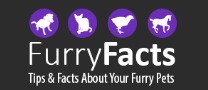 Image for FurryFacts-Pet Care with ID of: 1997655
