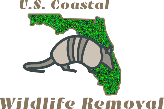 Image for U.S. Coastal Willdlife Removal Services with ID of: 1999138