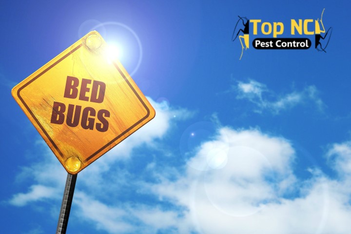 Image for Top NC Pest Control with ID of: 1999461