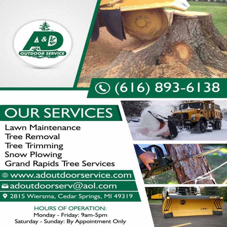 Image for Professional tree climbing-Tree cleanup-Commercial tree removal with ID of: 1999990