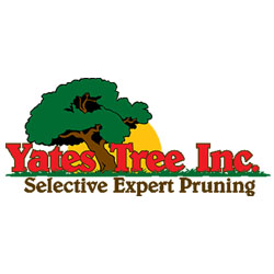 Image for Yates Tree Inc with ID of: 2000398