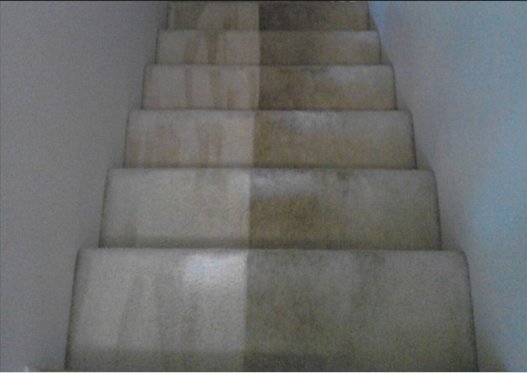 Image for Franklin Carpet Cleaning with ID of: 2001259