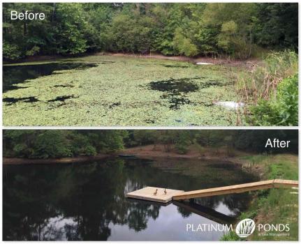 Image for Platinum Ponds & Lake Management with ID of: 2001489