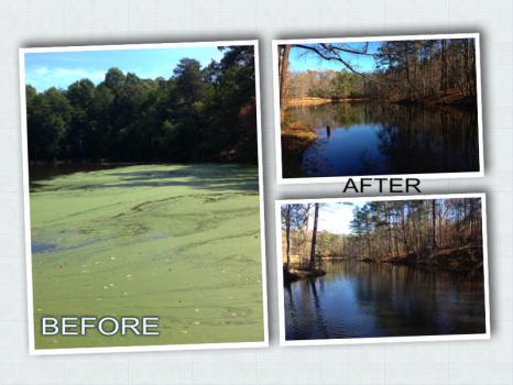 Image for Platinum Ponds & Lake Management with ID of: 2001490