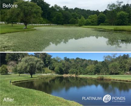 Image for Platinum Ponds & Lake Management with ID of: 2001491