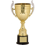 Image for Make Your Award Events Special with the Creative San Diego Trophies, Plaques, and Medals with ID of: 2001661