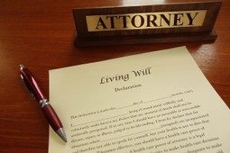 Image for McLarty Wolf Litigation Lawyers with ID of: 2001688