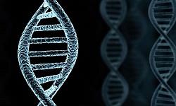 Image for Test Me DNA with ID of: 2002154