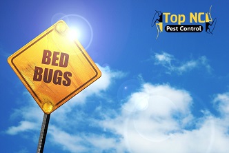 Image for Top NC Pest Control with ID of: 2002517