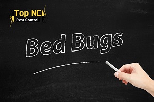 Image for Top NC Pest Control with ID of: 2003813