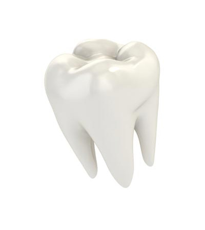 Image for The Smile Gallery - Dr. Bainer with ID of: 2005445