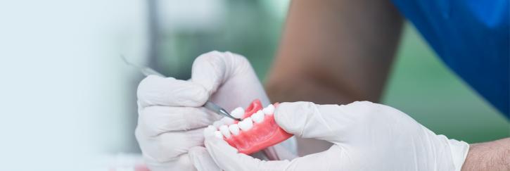 Image for The Smile Gallery - Dr. Bainer with ID of: 2005446