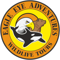 Image for Eagle Eye Adventures with ID of: 2006536