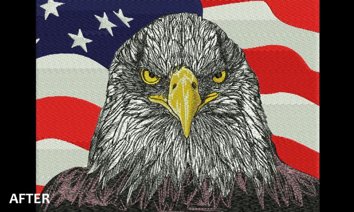 Image for Tips for applique designs custom digitizing with ID of: 2007019