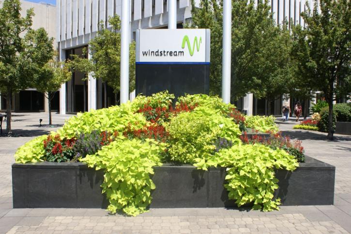 Image for windstream deals with ID of: 2007407