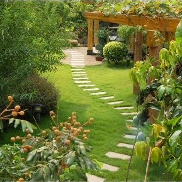 Image for AG Dream with ID of: 2009913