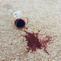Image for Katy Carpet Cleaning Pros with ID of: 2010103