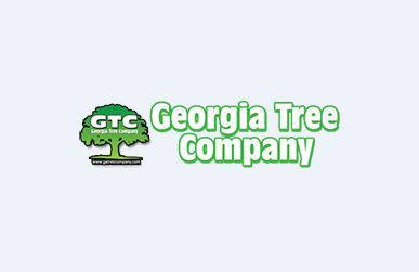 Image for Georgia Tree Company - Tree Service Canton with ID of: 2010990